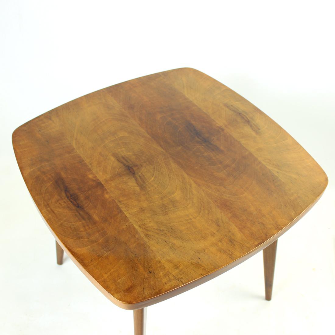 Walnut Spider Coffee Table by Mier, 1960s For Sale 1
