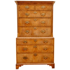 Walnut Tallboy