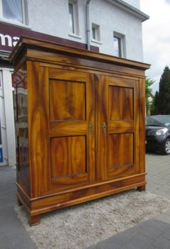 Walnut Wood Antique Biedermeier Hall Cabinet with Stunning Grain