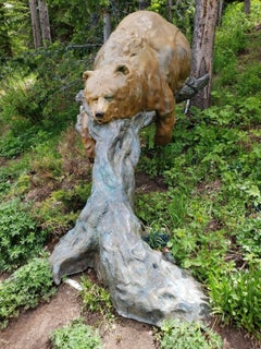 Bear Pause