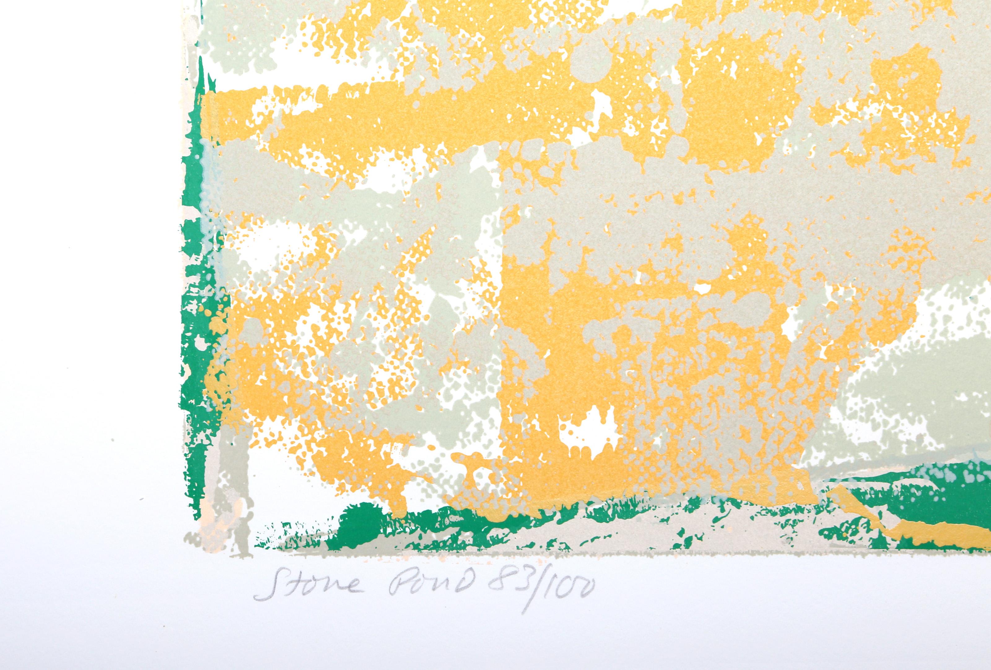 Stone Pond, Abstract Expressionist Screenprint by Walter Darby Bannard For Sale 2