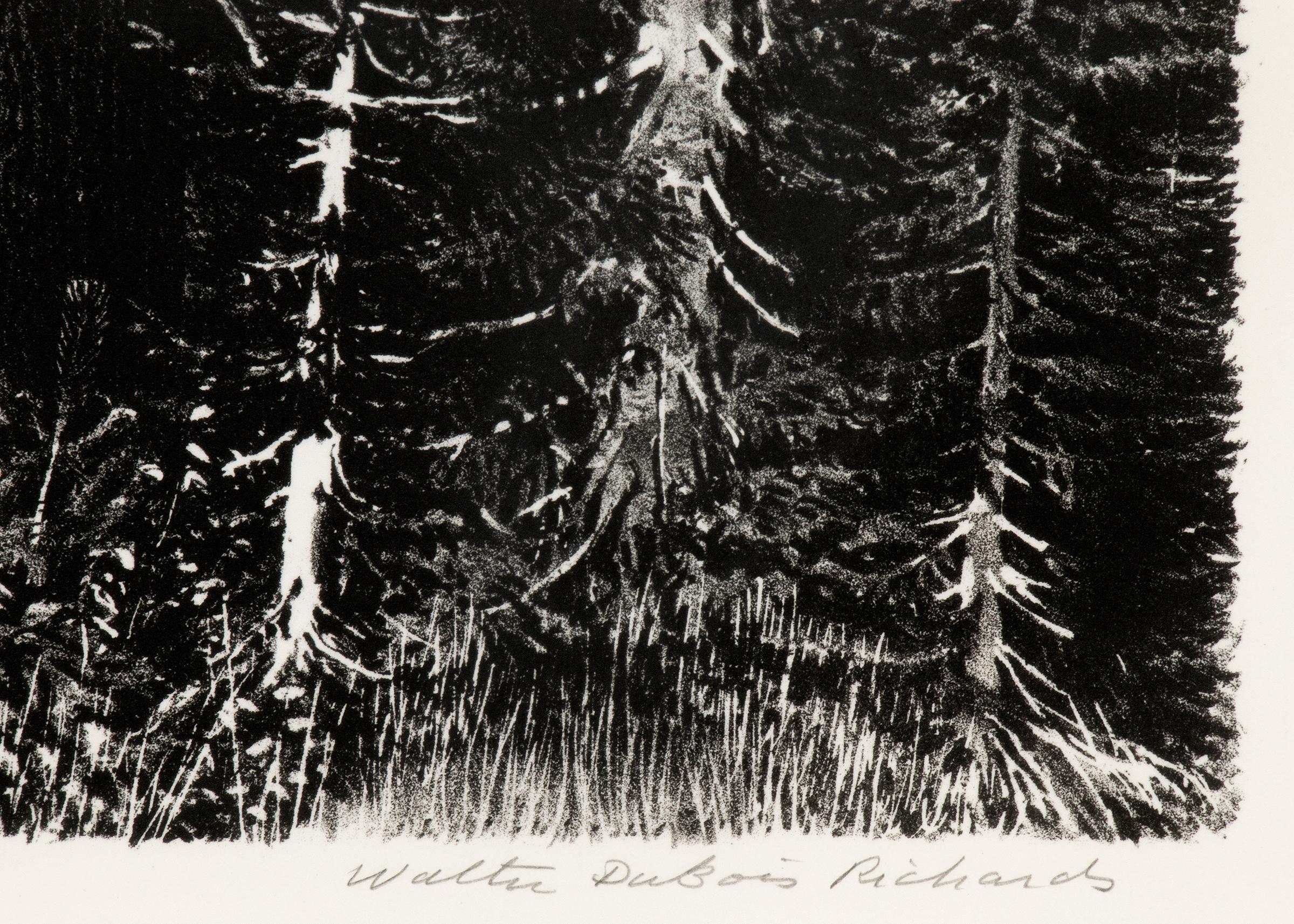Lithographie de paysage de montagne en noir et blanc de Mt Lassen, Californie du Nord - Réalisme américain Print par Walter DuBois Richards