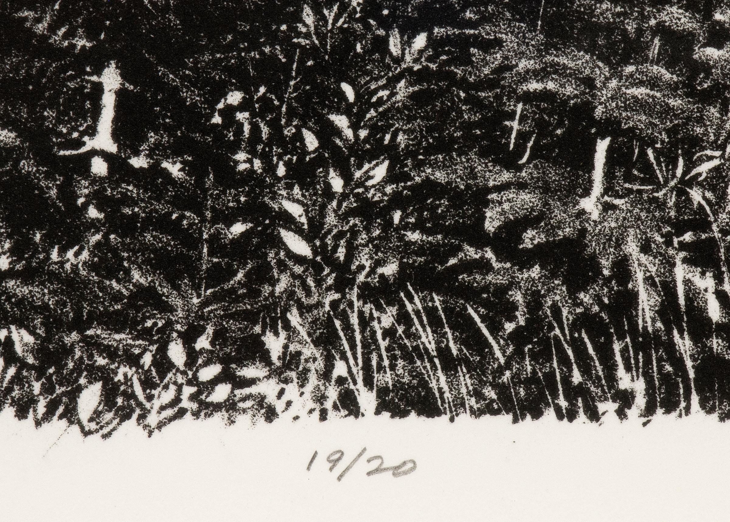 Mt Lassen, lithographie originale vintage signée par Richard Walter Dubois (1907-2006) d'un paysage de Californie du Nord avec des pins, des montagnes enneigées et des nuages d'orage dramatiques, noir et blanc, signée en bas à droite, numérotée 19