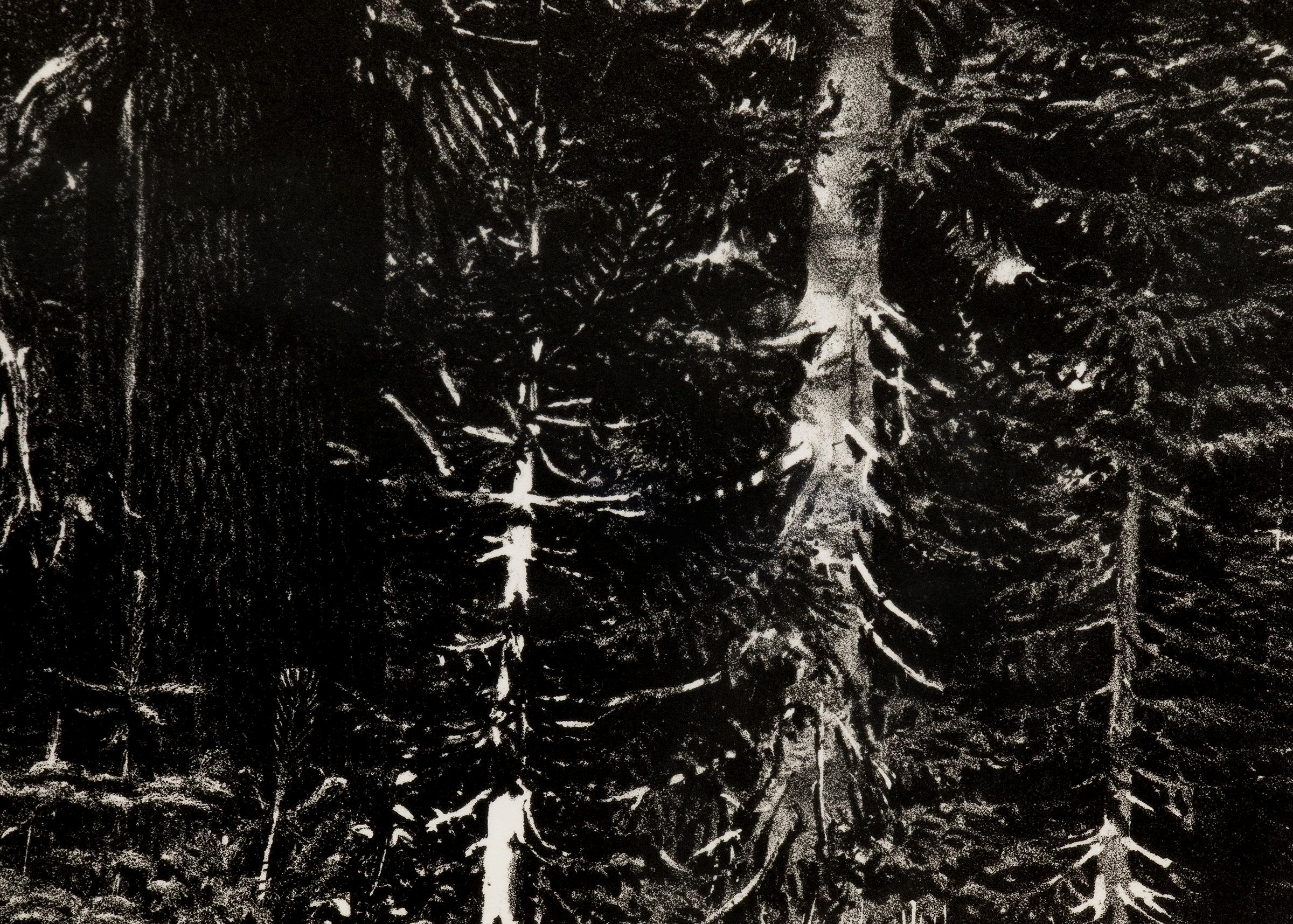 Lithographie de paysage de montagne en noir et blanc de Mt Lassen, Californie du Nord en vente 2