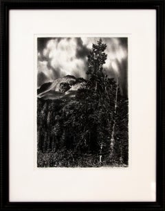 Signed Mt. Lassen Vintage Lithograph by Richard Walter Dubois, Limited Edition