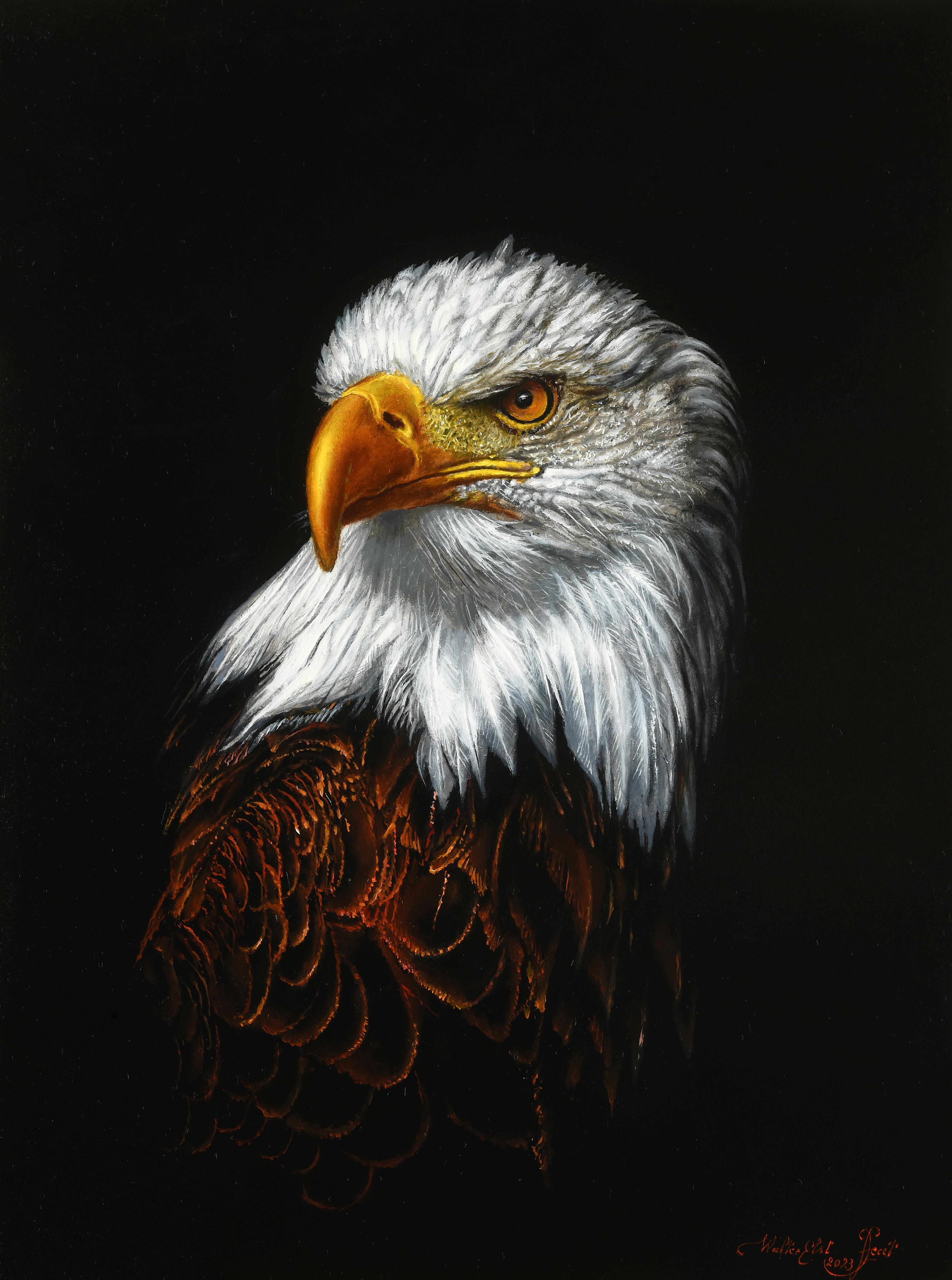 Adelaar Eagle Oil Painting on Panel Birds Wildlife In Stock  - Sizes are measured without frame

Walter Elst Born in Antwerp, Belgium - 1955  After finishing his study Medicine at the University of Brussels Walter Elst decided to dedicate himself to