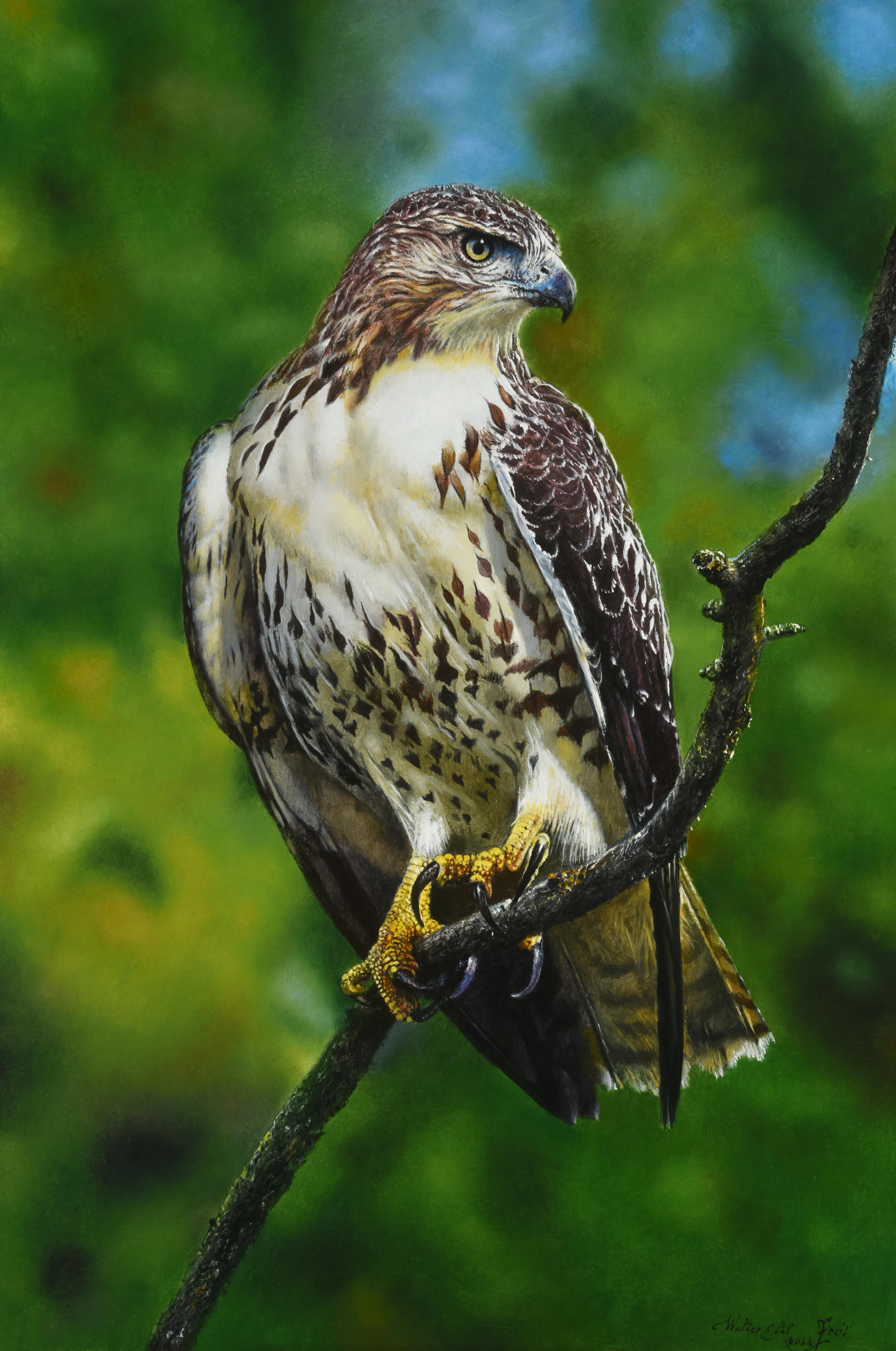 Alerte Buizerd Alert Buzzard Bird of Prey Nature Oil Painting on Panel En Stock - Figurative Painting Negro de Walter Elst