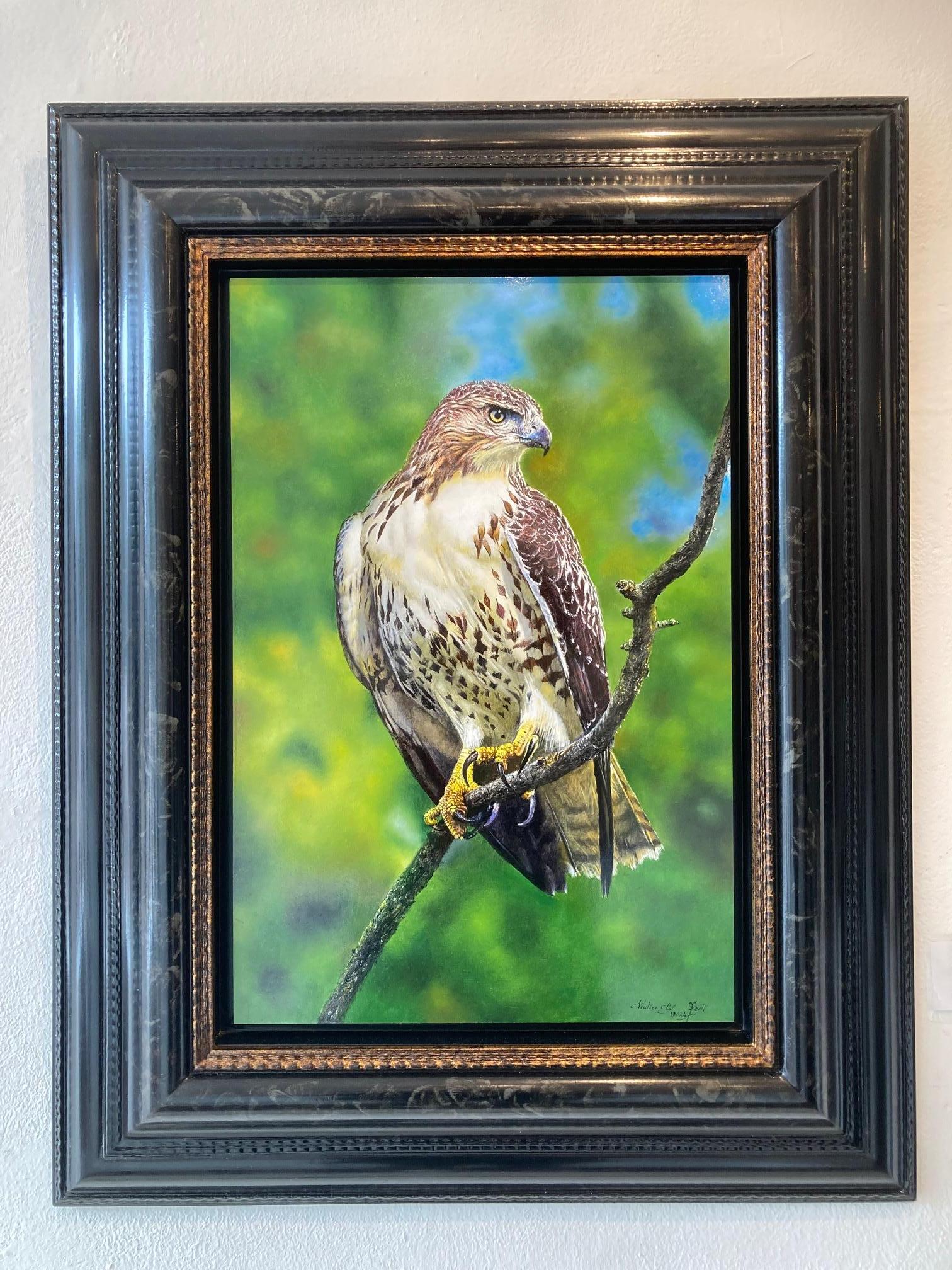 Alerte Buizerd Alert Buzzard Bird of Prey Nature Oil Painting on Panel En Stock en venta 5