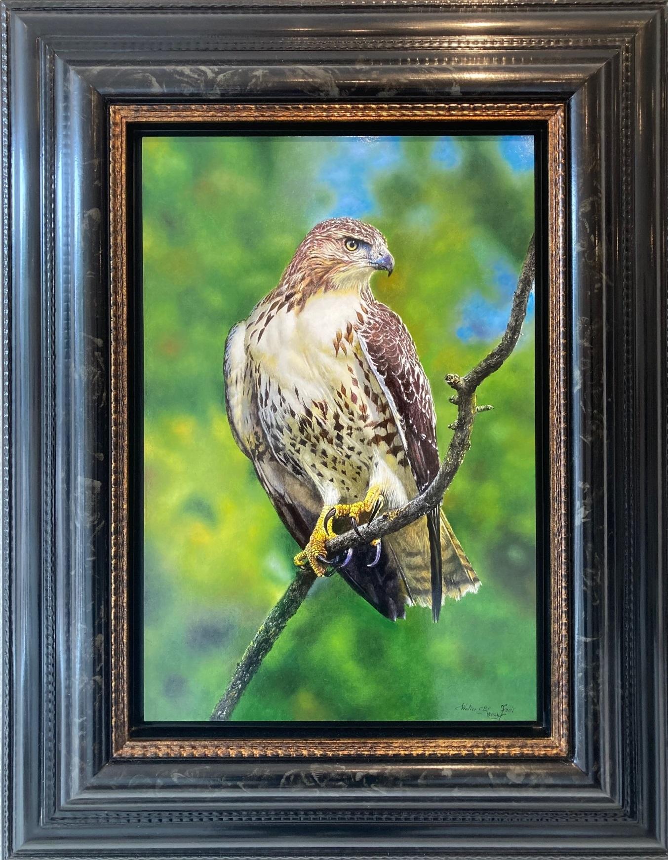 Figurative Painting de Walter Elst - Alerte Buizerd Alert Buzzard Bird of Prey Nature Oil Painting on Panel En Stock