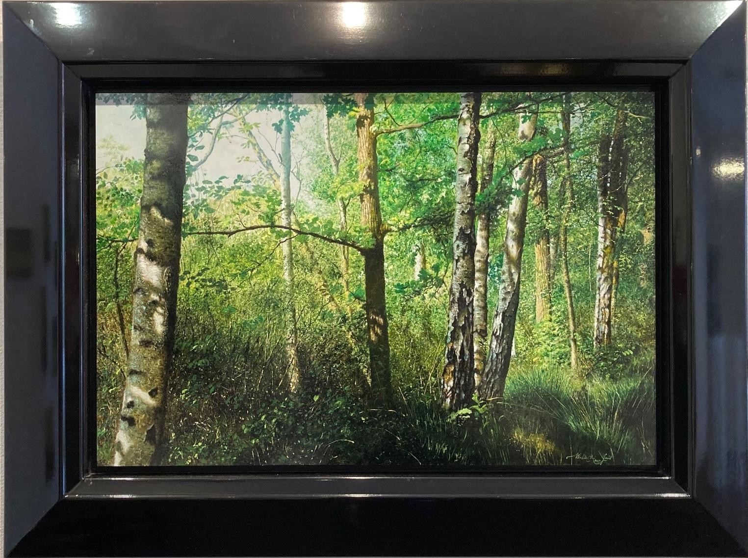 Walter Elst Figurative Painting - Berkenbos Birch Forest in Spring Mood Oil Painting on Panel Wood In Stock