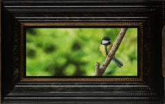 Bescheiden Koolmees - Modest - Peinture à l'huile sur panneau - Oiseau - Nature en stock