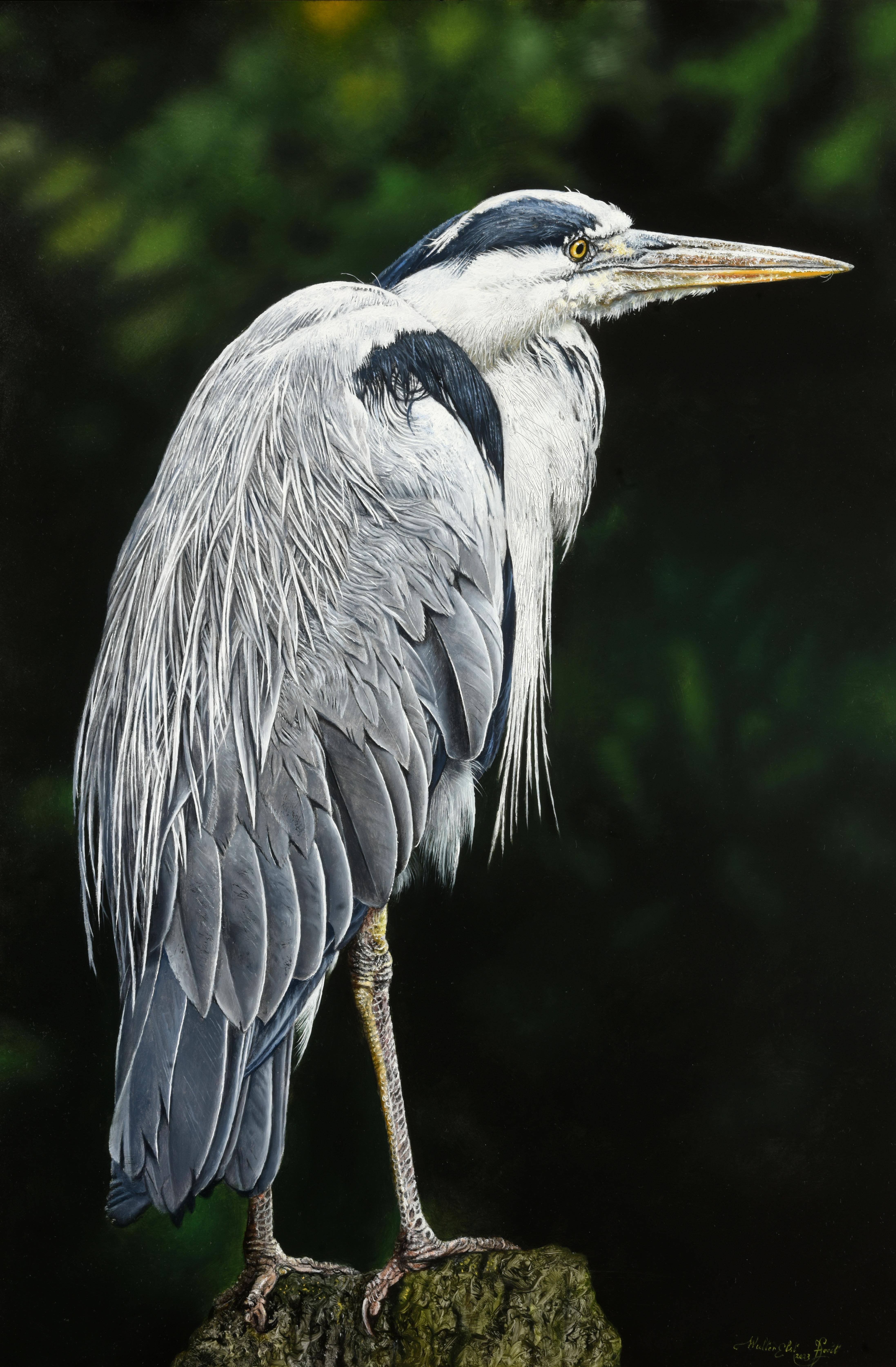 Blauwe Reiger Blue Heron Oil Painting on Panel Bird Animal In Stock
Walter Elst Born in Antwerp, Belgium - 1955  After finishing his study Medicine at the University of Brussels Walter Elst decided to dedicate himself to his calling painting.