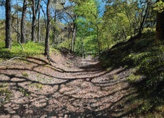 De Heide in de Lente Heather in Spring Landscape Peinture à l'huile sur panneau En stock