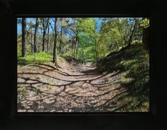 De Heide in de Lente Heather in Spring Landscape Peinture à l'huile sur panneau En stock