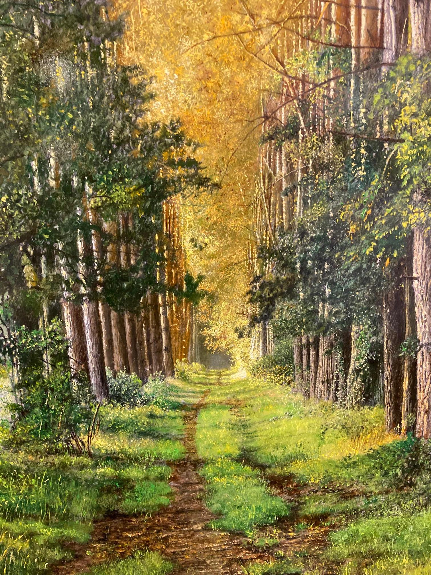 Dennenbosdreef Pineta Pittura ad olio su pannello Nature Wood Tree In magazzino - Painting Contemporaneo di Walter Elst