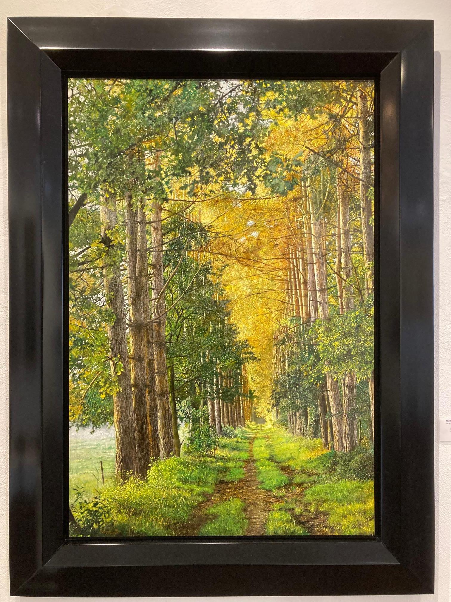 Dennenbosdreef Pineta Pittura ad olio su pannello Nature Wood Tree In magazzino
Walter Elst Nato a Anversa, Belgio - 1955  Dopo aver terminato gli studi di Medicina all'Università di Bruxelles, Walter Elst decise di dedicarsi alla sua vocazione
