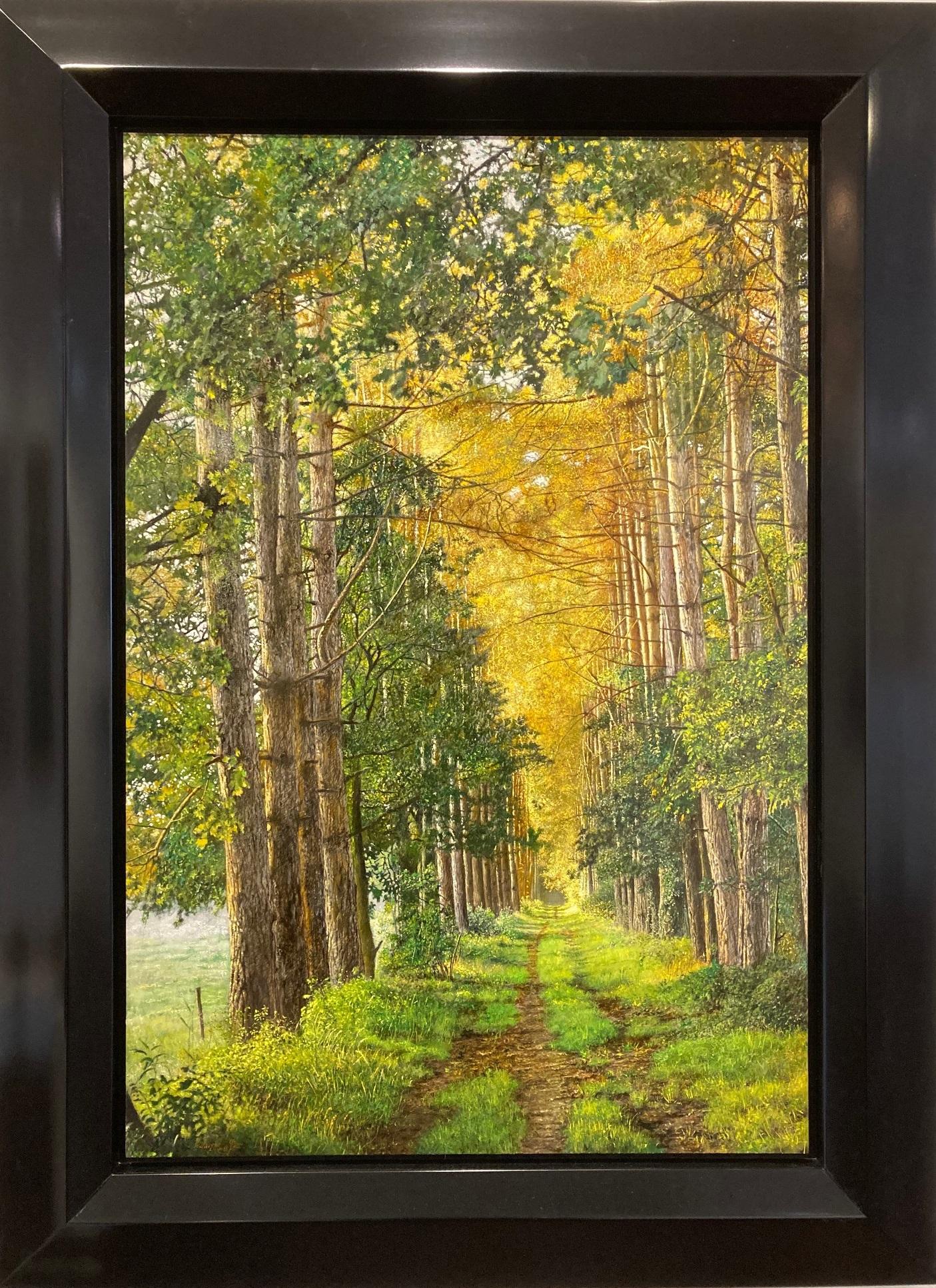 Landscape Painting di Walter Elst - Dennenbosdreef Pineta Pittura ad olio su pannello Nature Wood Tree In magazzino