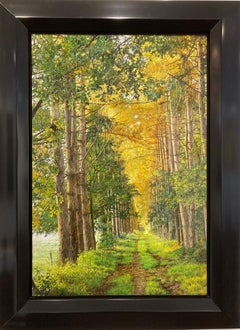 Dennenbosdreef Pine Forest Oil Painting on Panel Nature Woods Tree In Stock