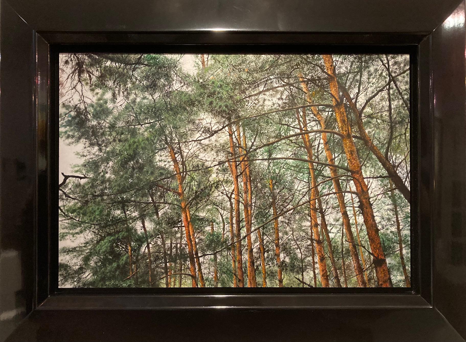 Dennengefluister Whispering of the Pines Oil Painting on Panel Wood in Stock