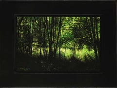 Diep in het Bos Far in the Woods - Peinture à l'huile sur panneau de bois - Nature en stock