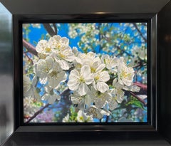 Elk Jaar Opnieuw Oil Painting on Panel Blossom Every Year Tree Flower In Stock