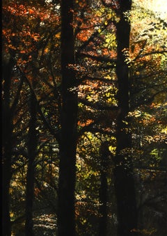 Het Bos Ölgemälde auf Platte The Forest Tree Woods Nature Vorrätig