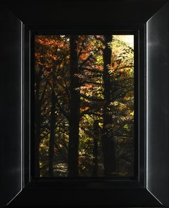 Het Bos Oil Painting on Panel The Forest Tree Woods Nature In Stock