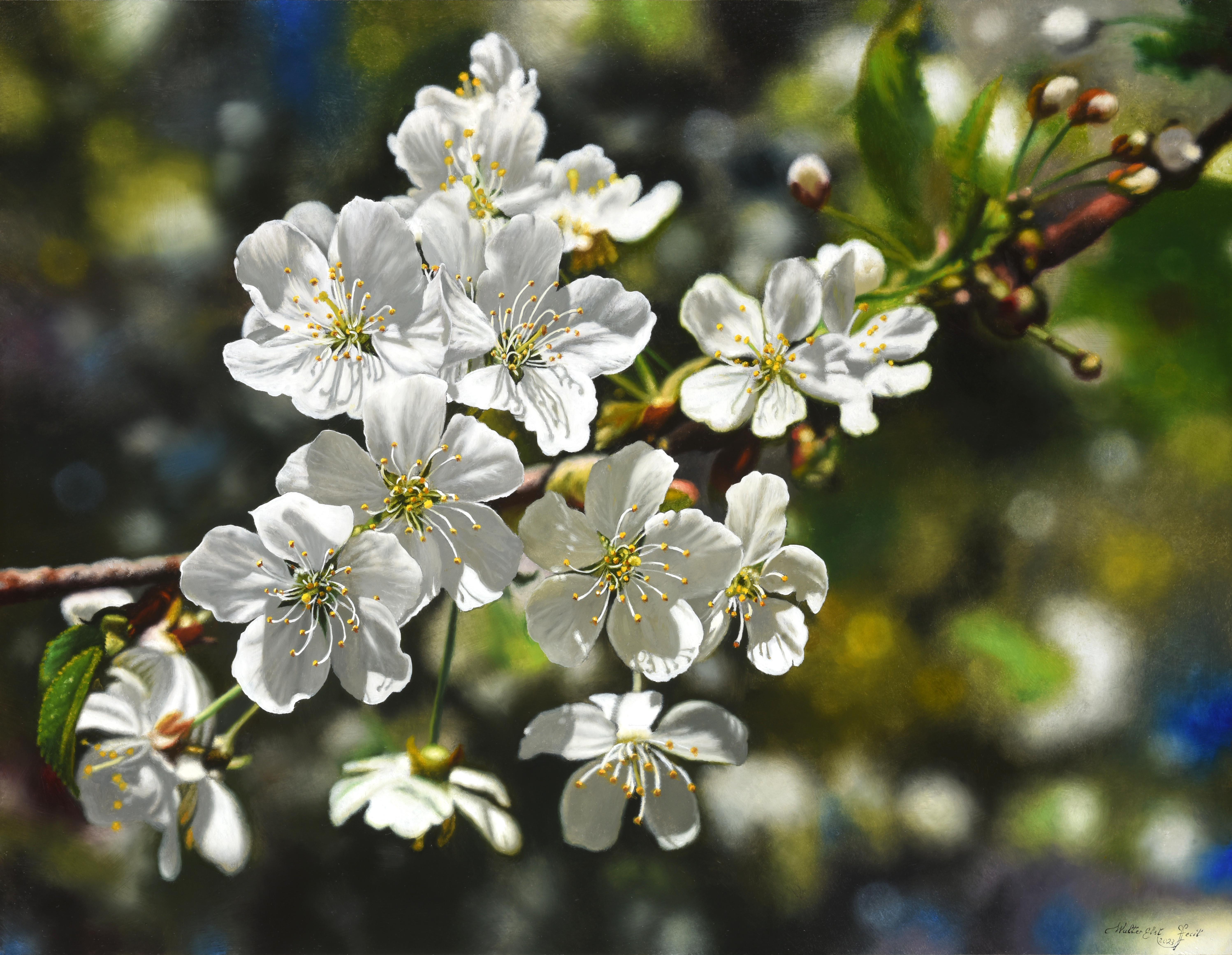 Magic Spring Ölgemälde auf Panel Blossom Cherry Nature Flowers Tree Auf Lager – Painting von Walter Elst