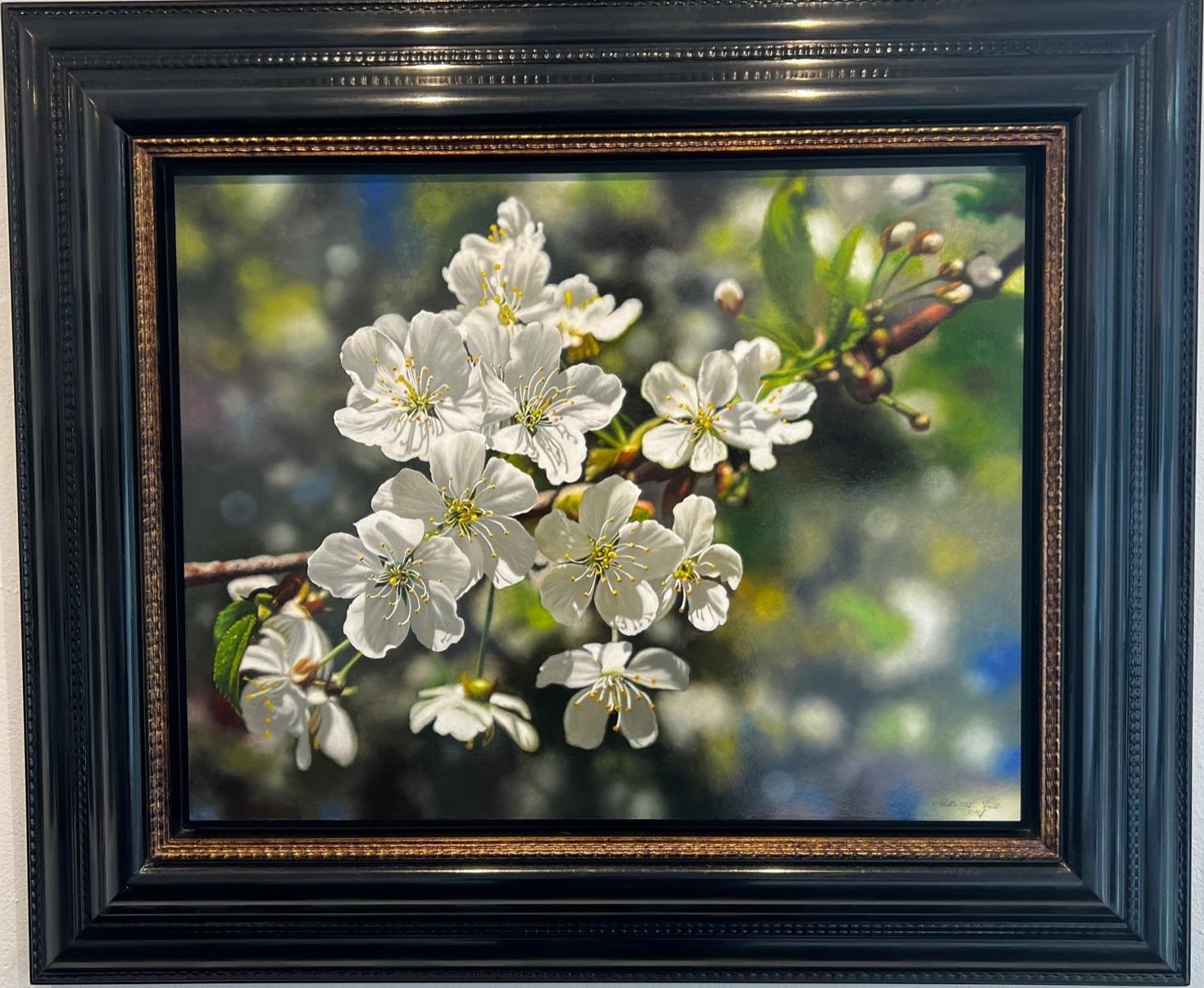 Walter Elst Figurative Painting - Magic Spring Oil Painting on Panel Blossom Cherry Nature Flowers Tree In Stock