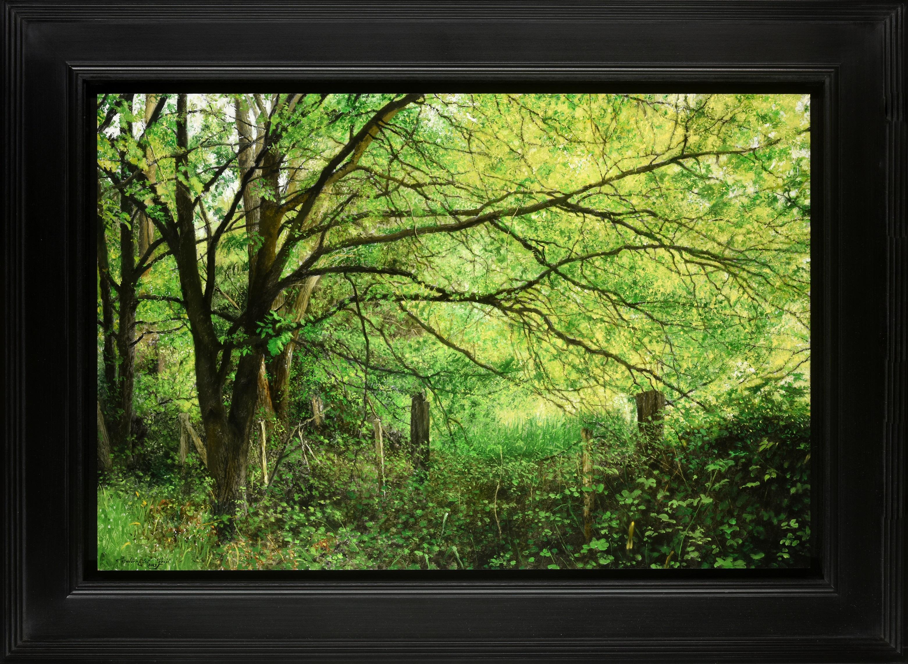 Walter Elst Figurative Painting – Mei in Mij May in Me Ölgemälde auf Leinwand Landschaft Nature Woods Trees 2023