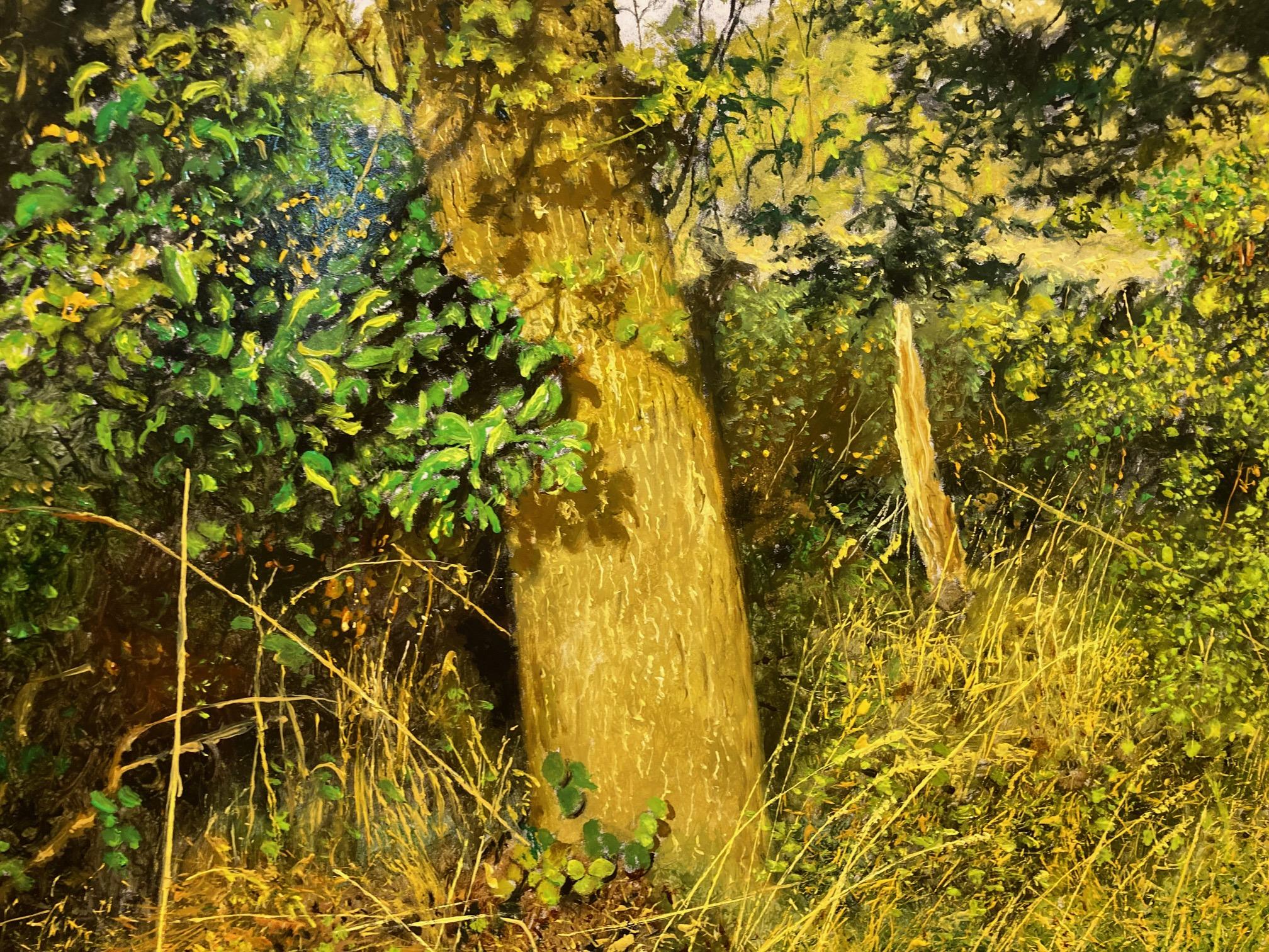 Midzomer Midsummer Pittura a olio su pannello Nature Forest Fine Art In magazzino - Painting Contemporaneo di Walter Elst