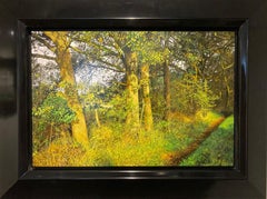 Midzomer Midsummer Oil Painting on Panel Nature Forest Fine Art In Stock 