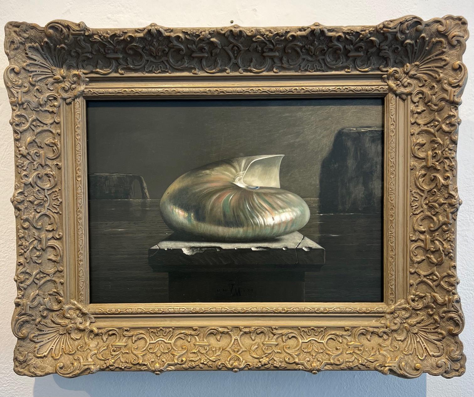 Nautilus 2 Peinture à l'huile sur panneau Nature morte coquillage encadrée En stock