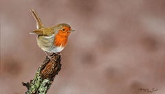Roodborst Oil Painting on Panel Bird Animal Robin Nature Outside In Stock