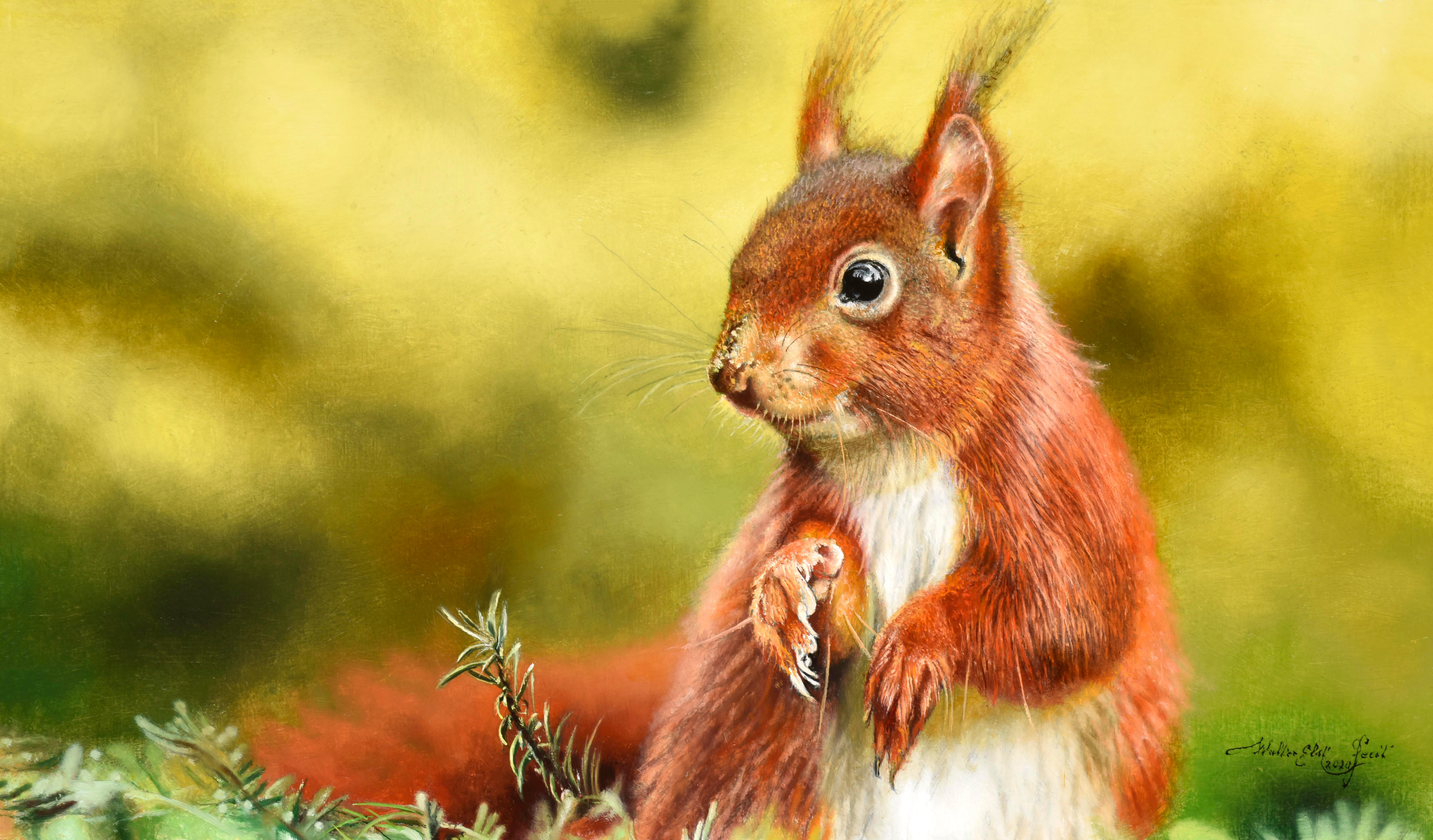 Walter Elst Animal Painting - Wakkere Eekhoorn Squirrel Awake Oil on Panel Painting Animal Woods In Stock 