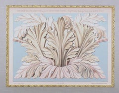 Acanthus  (Architecture)