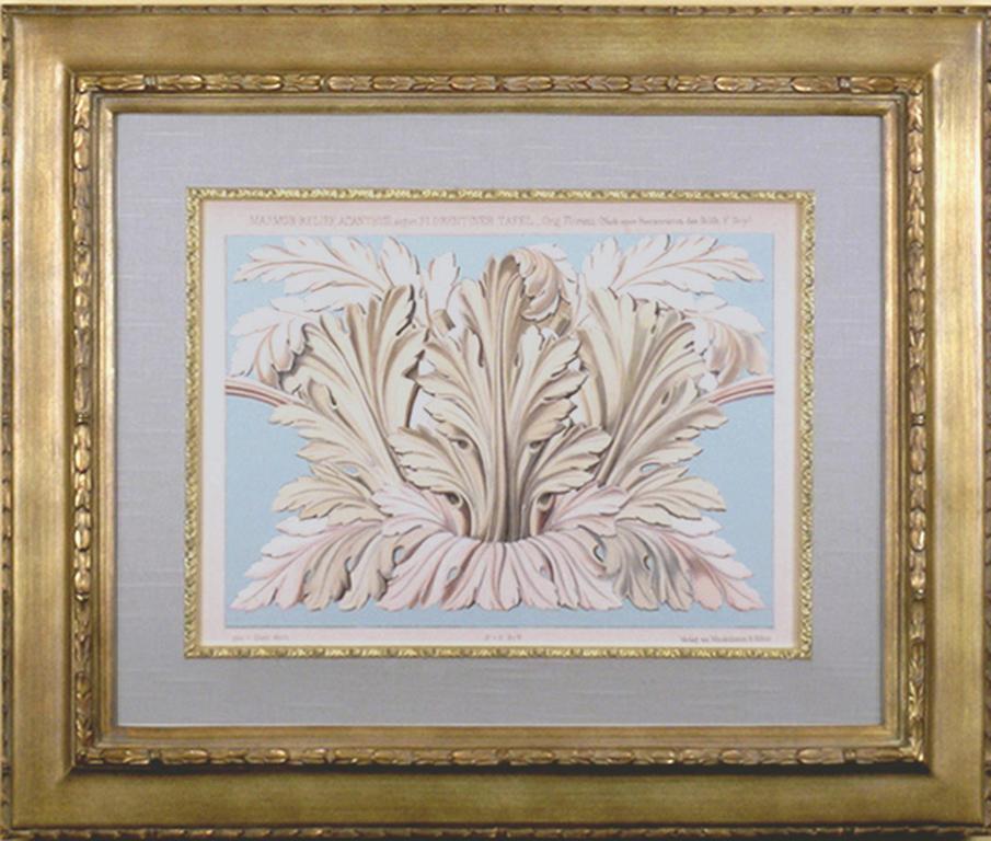 Acanthus  (Architecture) - Print by Walter Gropius