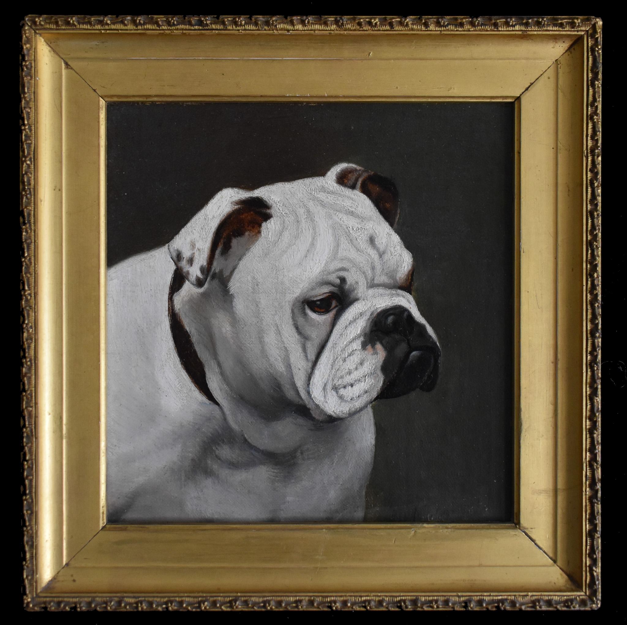 Animal Painting Walter Herbert Wheeler - Un noble bouledogue