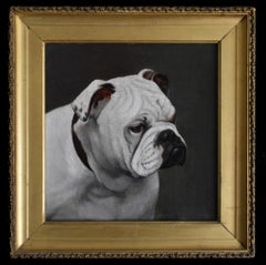 Eine edle Bulldogge