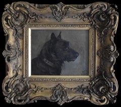 Mac", ein beliebter Terrier