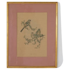 Vintage Walter Imp Audubon Lithograph or Three Siberian Grosbeak Birds, Framed, 20thC