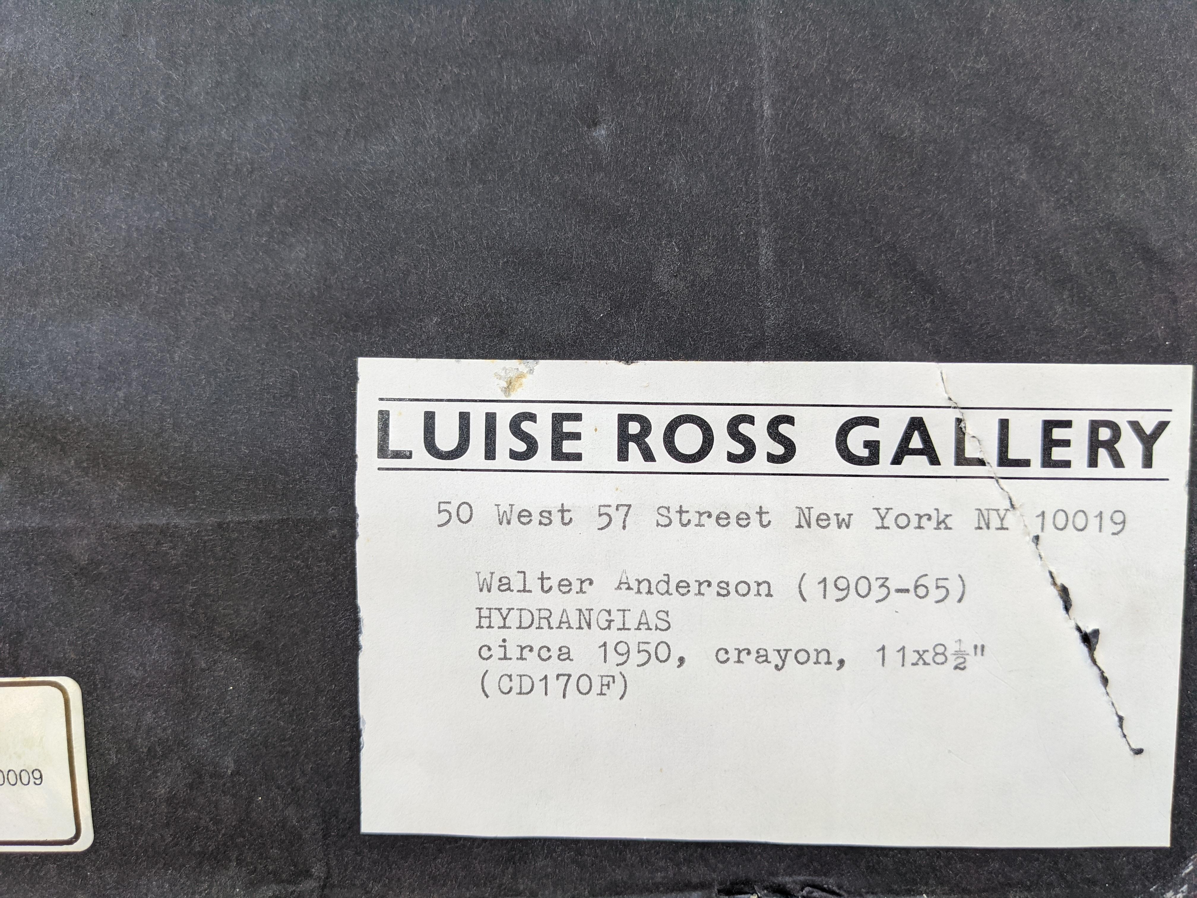horizontal walter anderson prints