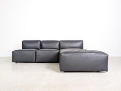 Walter Knoll Ecksofa Modul Couch Living Landscape 730 Leder