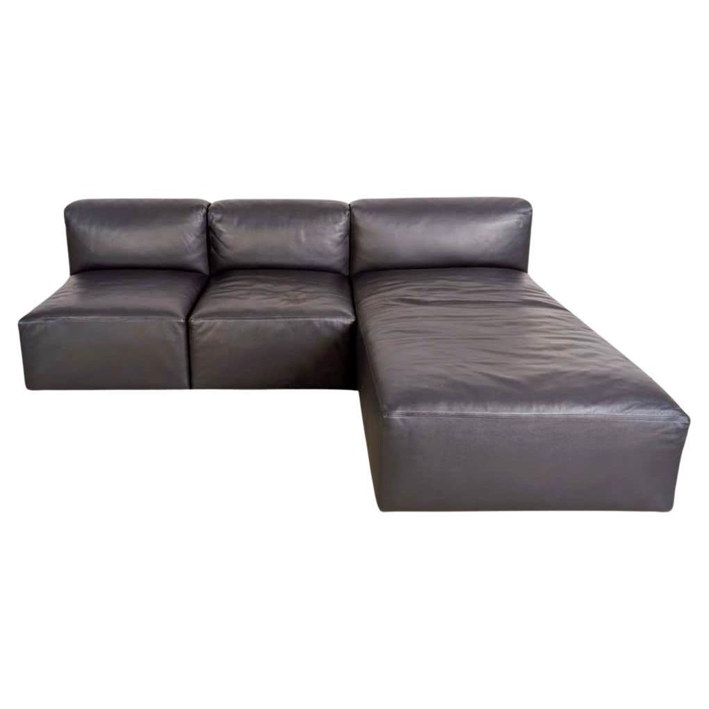 Walter Knoll Ecksofa Modul Couch Living Landscape 730 Leder