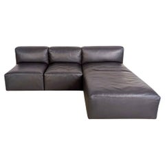 Walter Knoll Ecksofa Modul Couch Living Landscape 730 Leder