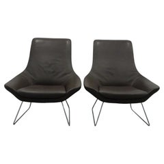 Walter Knoll Flow Lounge Chairs, Pair, in Luxurious Chocolate Leather