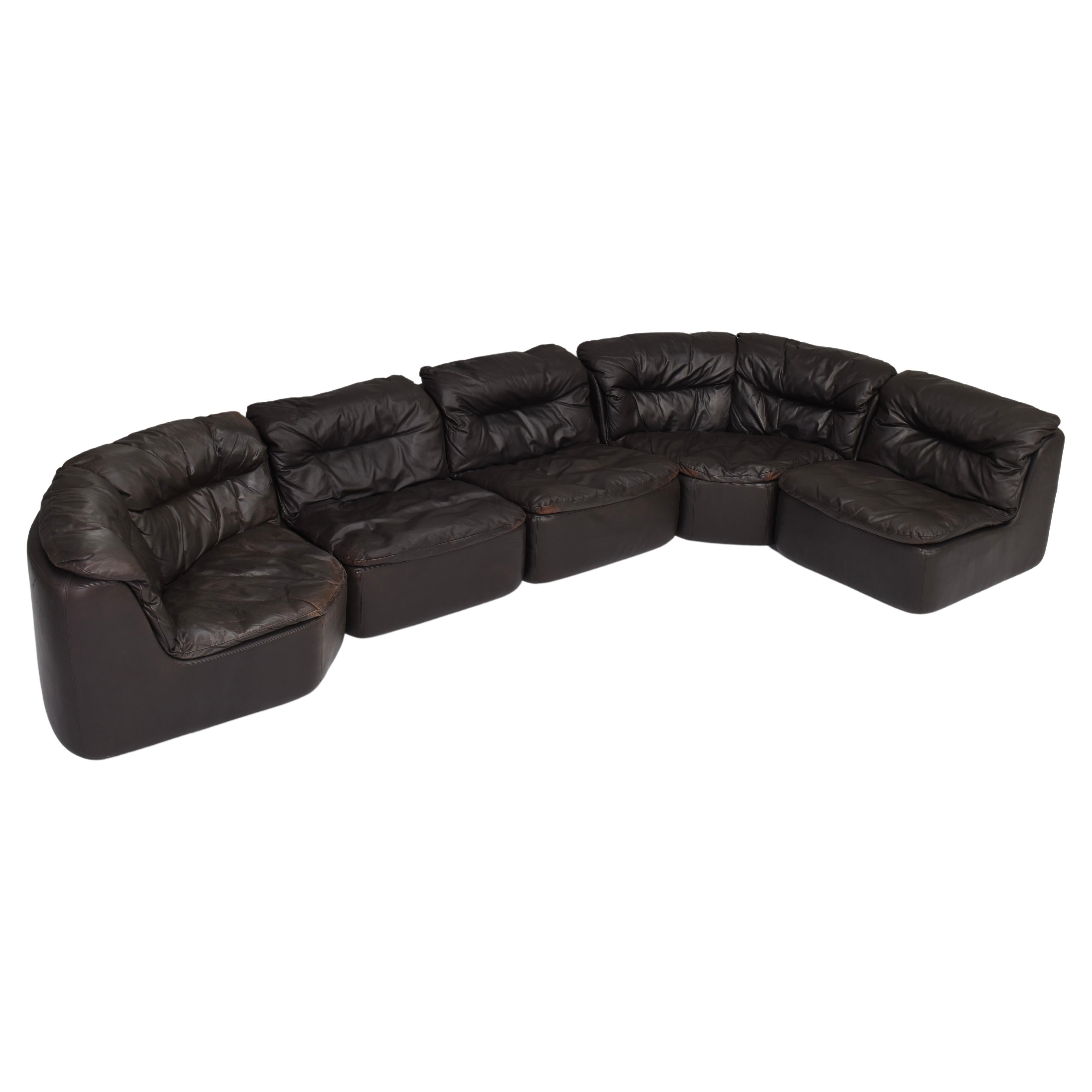Walter Knoll Friedrich Hill Sectional Sofa Dark Brown Leather, Germany, 1972