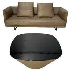 Walter Knoll "Prime Time 490" Sofa & "Ameo" Table - In Clay "Safari" Leather