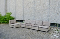 Walter Knoll Vintage Modular Grey Buffallo Leather Lounge Sofa, Germany, 1970