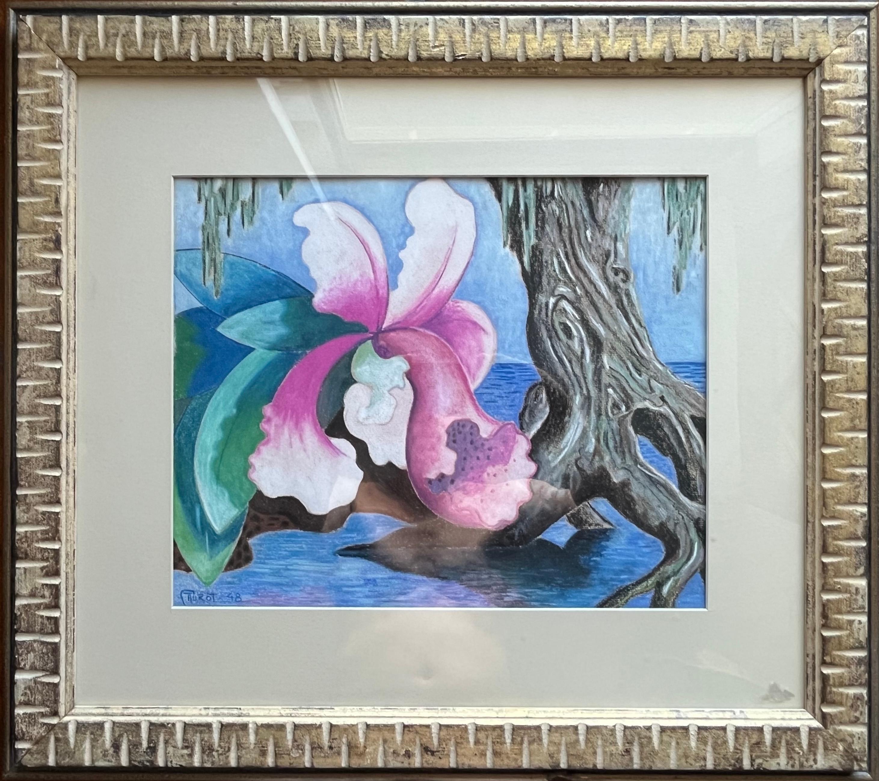 Orchidea Cattleya